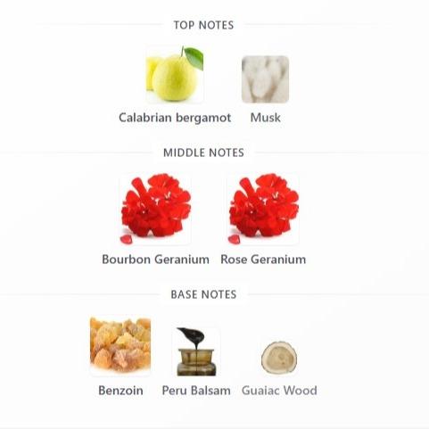 Axiom Extrait De Parfum Spray Unisex 50ml by The House of Phoenix