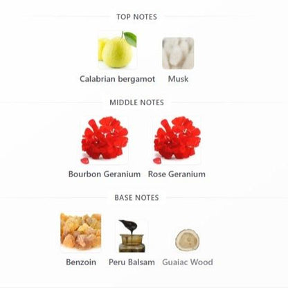 Axiom Extrait De Parfum Spray Unisex 50ml by The House of Phoenix